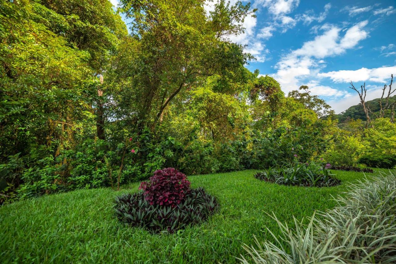 Ficus Sunset Suites Monteverde Exterior foto